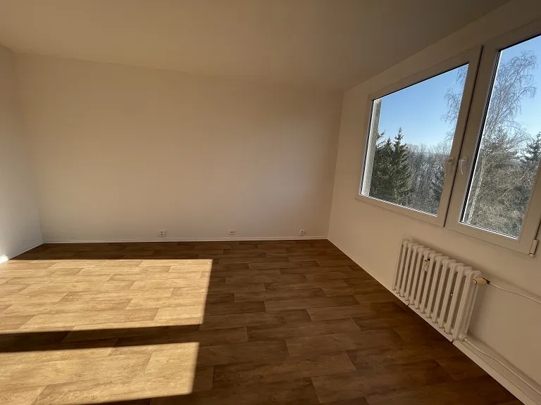 Pronájem bytu 1+1, 38 m² obrázek